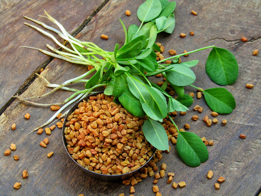 Benefits of Fenugreek on the hair